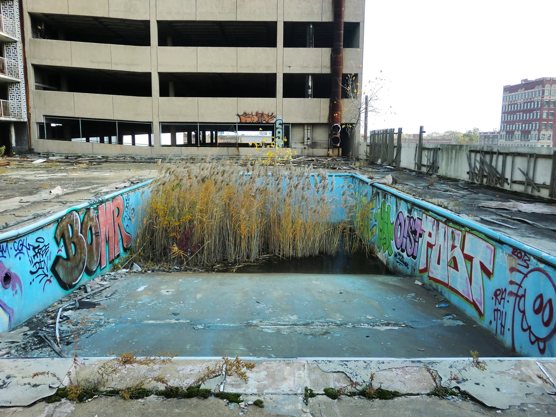 The empty, disused swimming pool before conversion